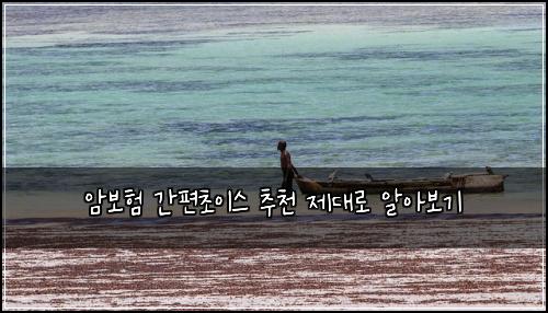 암보험 간편초이스  추천 제대로 알아보기