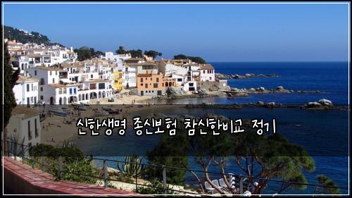 신한생명 종신보험 참신한비교  정기