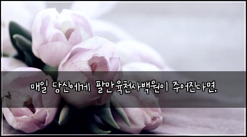๋งค์ผ ๋น์ ์๊ฒ ํ๋ง์ก์ฒ์ฌ๋ฐฑ์์ด ์ฃผ์ด์ง๋ค๋ฉด.