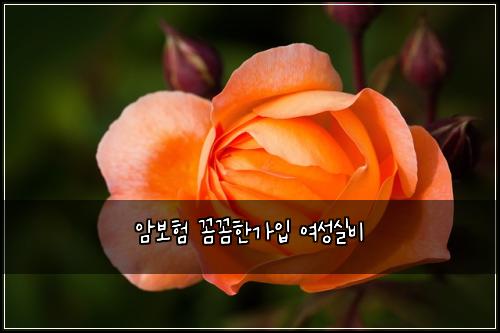 암보험 꼼꼼한가입  여성실비