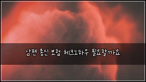 남편 종신 보험 체크노하우  필요할까요
