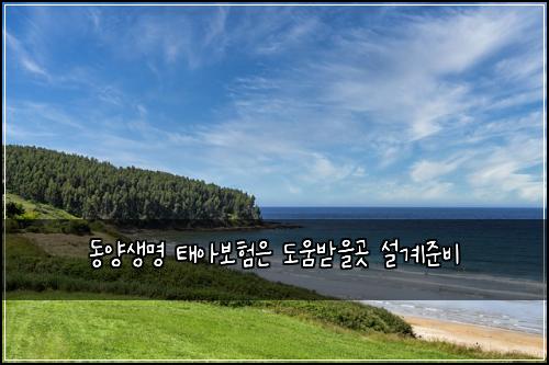 ๋์์๋ช
ํ์๋ณดํ์ ๋์๋ฐ์๊ณณ ์ค๊ณ์ค๋น