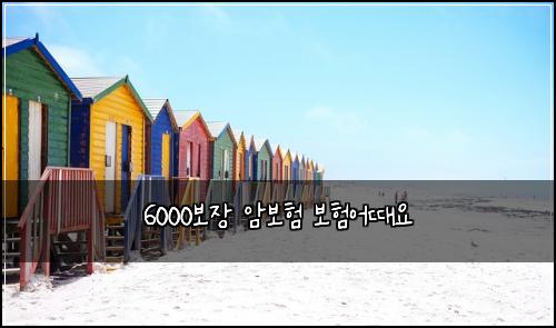 6000보μ₯ μ보ν 보νμ΄λμ