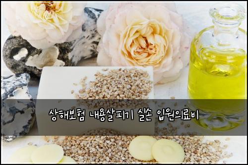 상해보험 내용살피기  실손 입원의료비