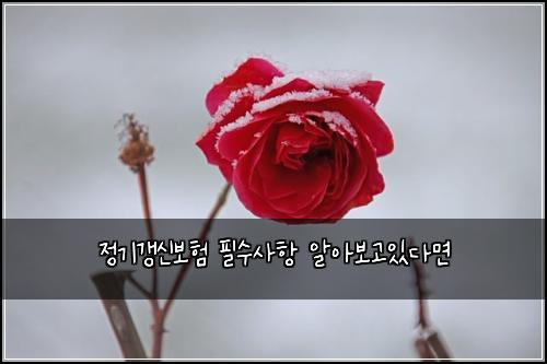 ์ ๊ธฐ๊ฐฑ์ ๋ณดํ ํ์์ฌํญ ์์๋ณด๊ณ ์๋ค๋ฉด