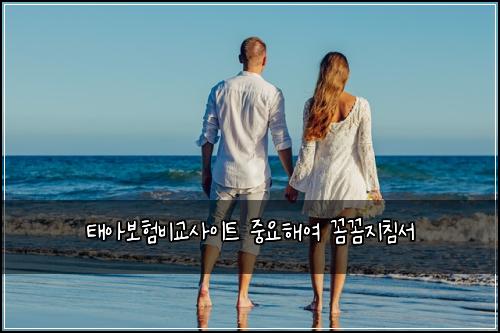 ํ์๋ณดํ๋น๊ต์ฌ์ดํธ ์ค์ํด์ฌ ๊ผผ๊ผผ์ง์นจ์