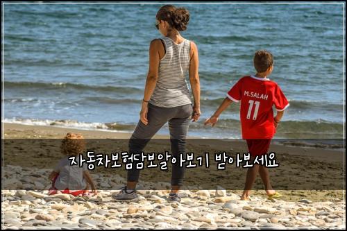 자동차보험담보알아보기 받아보세요