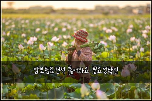 ์๋ณดํ๋ฃ๊ฒฌ์ ํ์ด๋ด์ ํ์์ฑํ์ธ