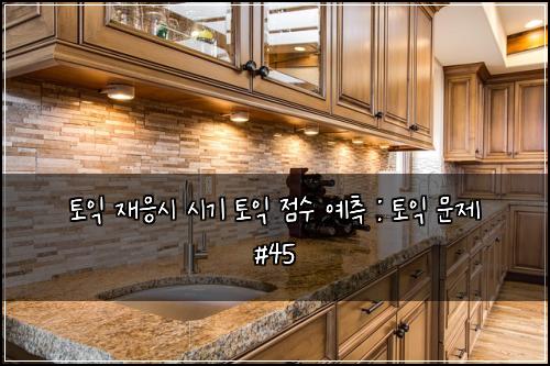 토익 재응시 시기 토익 점수 예측 : 토익 문제 #45