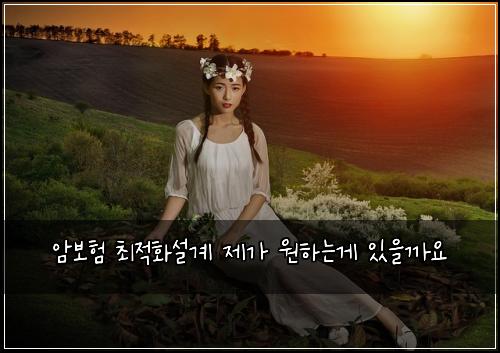 ์๋ณดํ ์ต์ ํ์ค๊ณ ์ ๊ฐ ์ํ๋๊ฒ ์์๊น์