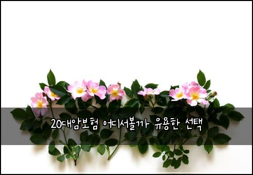 20대암보험 어디서볼까  유용한 선택