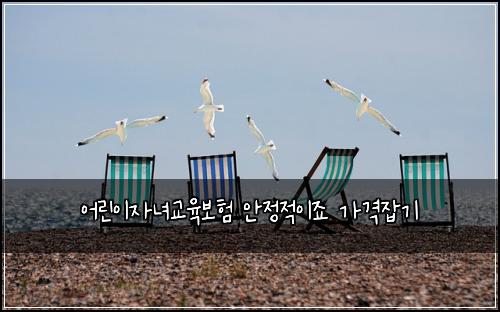 μ΄λ¦°μ΄μλ
κ΅μ‘보ν μμ μ μ΄μ£ κ°κ²©μ‘κΈ°