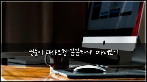 씽둥이 태아보험 꼼꼼하게 따져보기