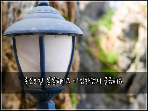종신보험 꼼꼼히비교  가입한건지 궁금해요