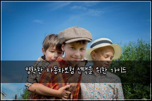 명확한 자동차보험 선택을 위한 가이드