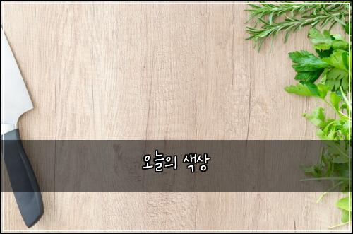 오늘의 색상