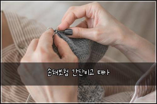 손해보험 간단비교  태아