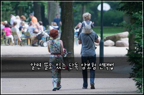알면 쓸모 있는 단독 암보험 선택법