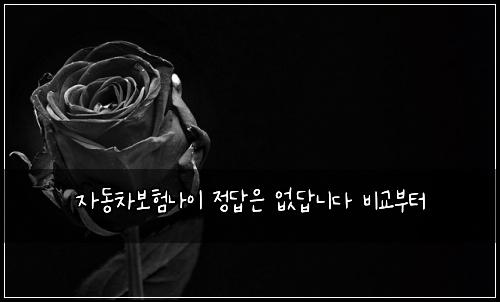 자동차보험나이 정답은 없답니다 비교부터