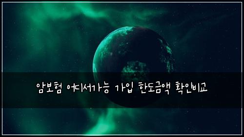 암보험 어디서가능  가입 한도금액 확인비교
