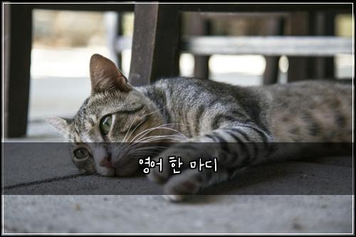 영어 한 마디