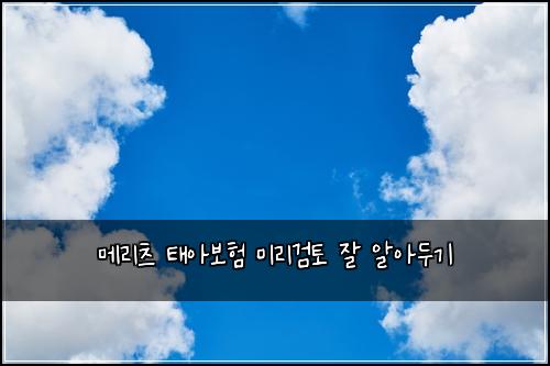 ๋ฉ๋ฆฌ์ธ ํ์๋ณดํ ๋ฏธ๋ฆฌ๊ฒํ ์ ์์๋๊ธฐ