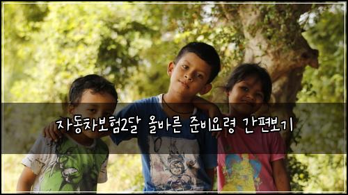 ์๋์ฐจ๋ณดํ2๋ฌ ์ฌ๋ฐ๋ฅธ ์ค๋น์๋ น ๊ฐํธ๋ณด๊ธฐ