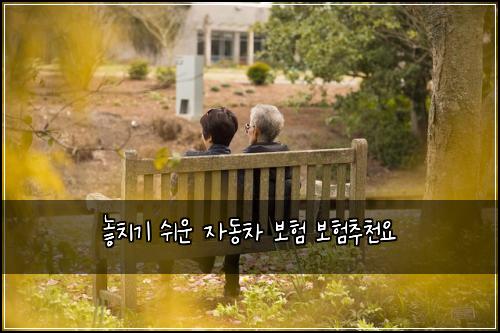 놓치기 쉬운 자동차 보험 보험추천요 