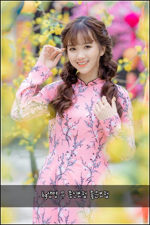 lig생명 무 종신보험 좋은보험 