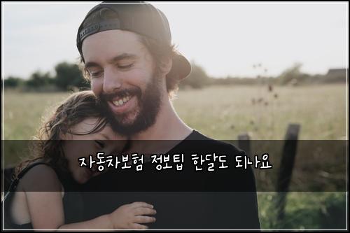 자동차보험 정보팁  한달도 되나요