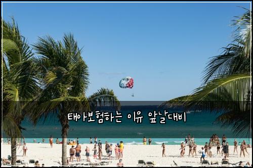 ํ์๋ณดํํ๋ ์ด์ ์๋ ๋๋น