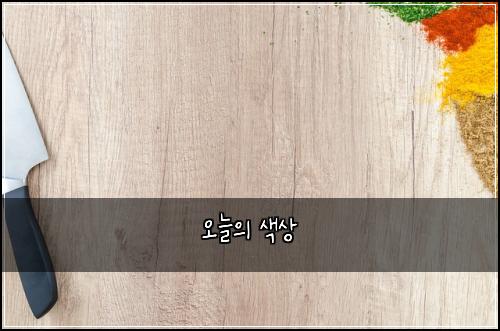 오늘의 색상