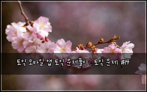 토익 모바일 앱 토익 문제풀이 : 토익 문제 #14