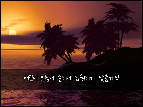 어린이 보험에 실비에 입원비가 맞춤해석