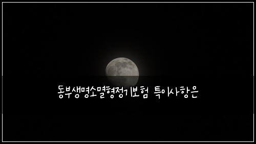 동부생명소멸형정기보험 특이사항은 