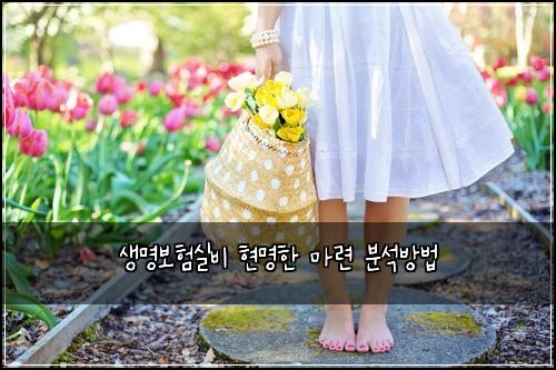 ์๋ช
๋ณดํ์ค๋น ํ๋ช
ํ ๋ง๋ จ ๋ถ์๋ฐฉ๋ฒ