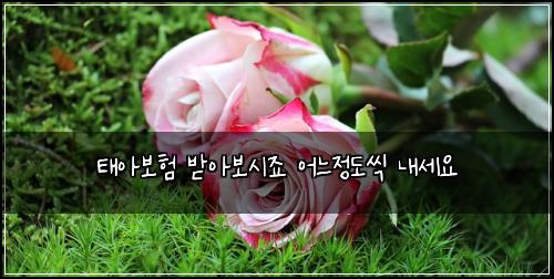 ํ์๋ณดํ ๋ฐ์๋ณด์์ฃ ์ด๋์ ๋์ฉ ๋ด์ธ์