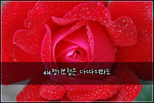 aia์ ๊ธฐ๋ณดํ์ ๋ค๋ฐ์ ธ๋ด๋