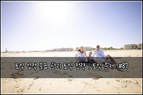 토익 성적 목표 관리 토익 전략 : 토익 문제 #87