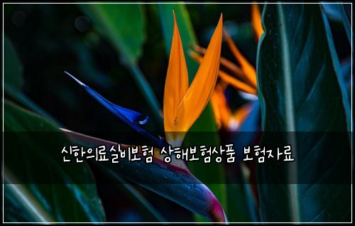 신한의료실비보험 상해보험상품 보험자료