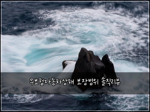 무보험자동차상해 보장범위 솔직리뷰