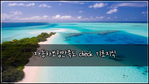 ์๋์ฐจ๋ณดํ๋ง์กฑ๋ check ๊ธฐ์ด์ง์