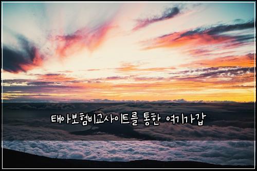 ํ์๋ณดํ๋น๊ต์ฌ์ดํธ๋ฅผ ํตํ ์ฌ๊ธฐ๊ฐ๊ฐ