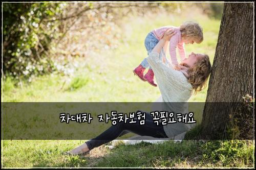 차대차 자동차보험 꼭필요해요 