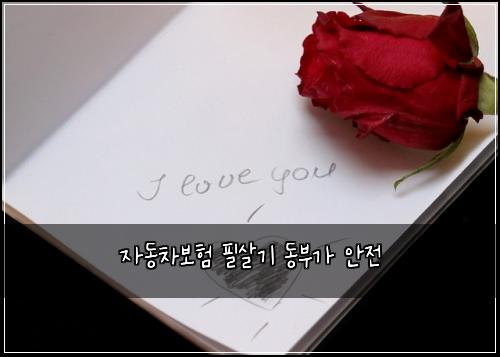μλ차보ν νμ΄κΈ° λλΆκ° μμ 