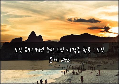 토익 독해 해석 능력 토익 자격증 활용 : 토익 문제 #43