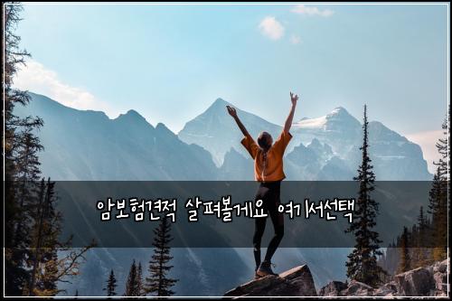 암보험견적 살펴볼게요 여기서선택