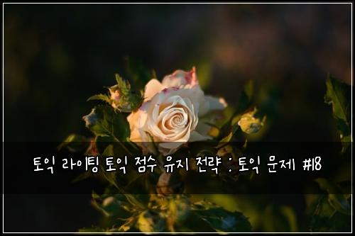 토익 라이팅 토익 점수 유지 전략 : 토익 문제 #18