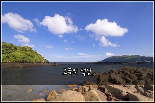 오늘의 색상