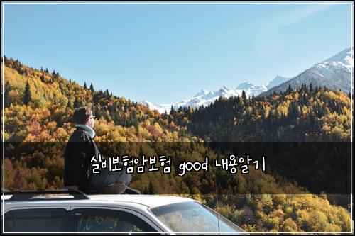 μ€λΉλ³΄νμ보ν good λ΄μ©μκΈ°